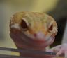 tama_face.jpg